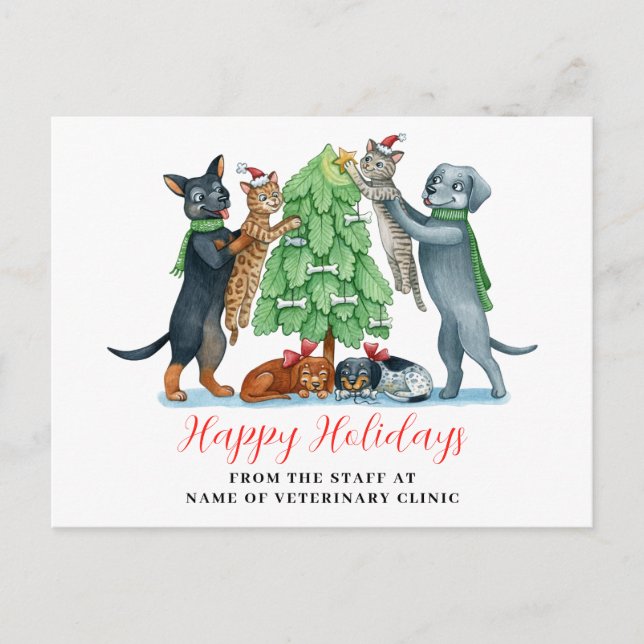 Cartão Postal De Festividades Cão Gato Veterinário Natal (Frente)