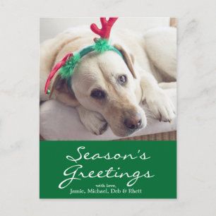 Cartão Postal De Festividades Cão labrador com orelhas de Natal