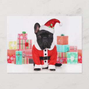 Cartão Postal De Festividades cão vestido de Papai noel em frente ao Natal
