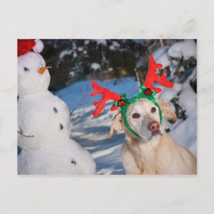Cartão Postal De Festividades Cão Vestindo Reindeer Antlers
