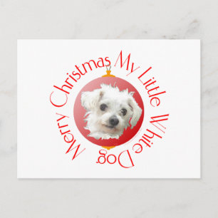 Cartão Postal De Festividades Cãozinho Branco de Natal Maltês