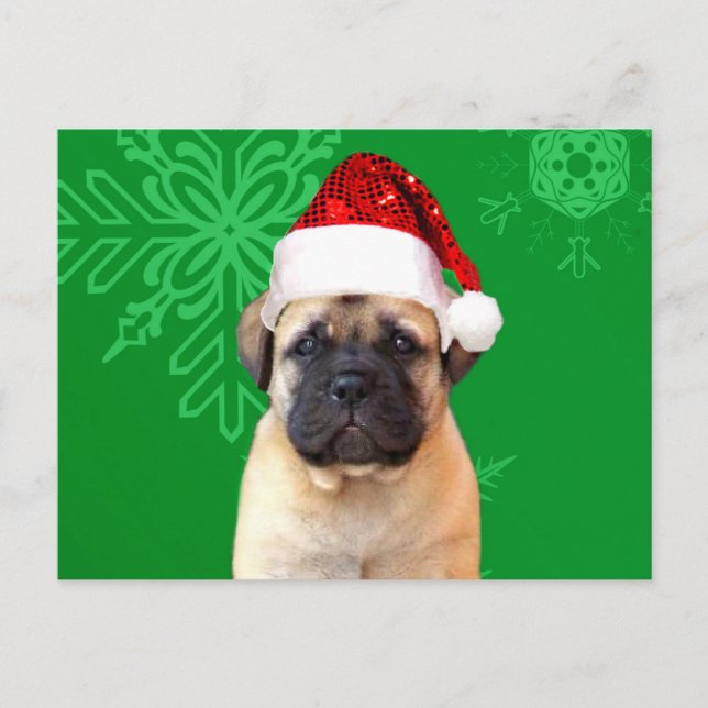 Cartão Postal De Festividades Cãozinho Bullmastiff de Natal (Frente)