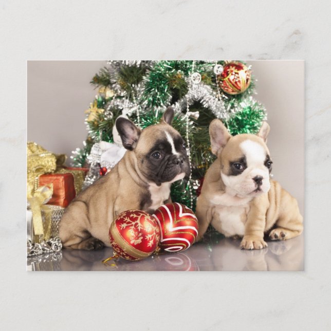 Cartão Postal De Festividades Cãozinho-de-buldogue francês e presentes de Natal (Frente)