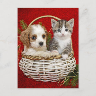Cartão Postal De Festividades Cãozinho de Natal e gatinho juntos no cesto
