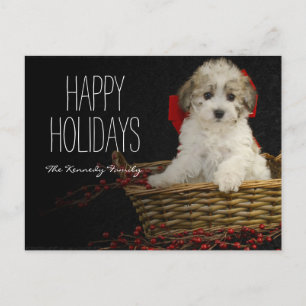 Cartão Postal De Festividades Cãozinho de Natal sentado no cesto