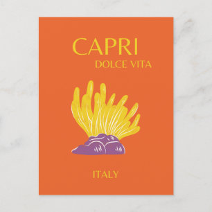 Cartão Postal De Festividades Capri, Itália, Viagem, Peruca, Laranja