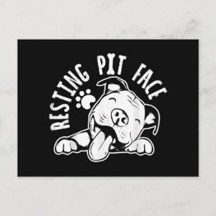 Cartão Postal De Festividades Cara de Pit em Repouso Meme Engraçado de Cachorro