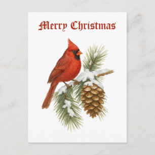 Cartão Postal De Festividades Cardinal na árvore de pinheiro nevada Natal