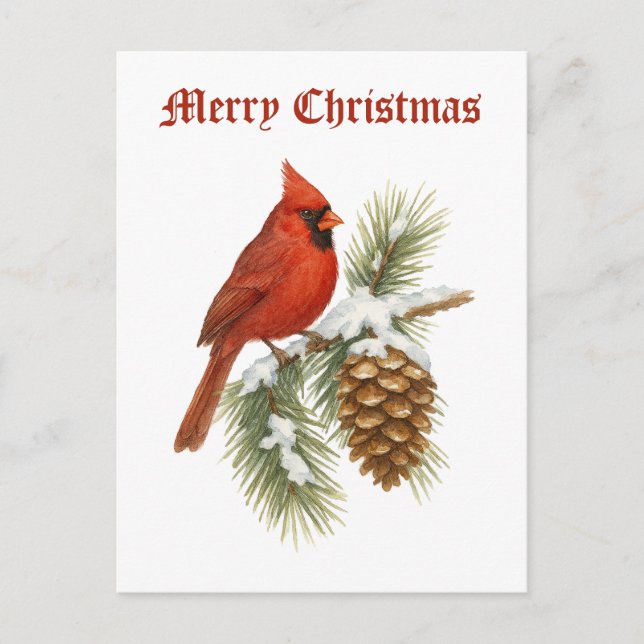 Cartão Postal De Festividades Cardinal On Snowy Pine Tree Christmas (Frente)