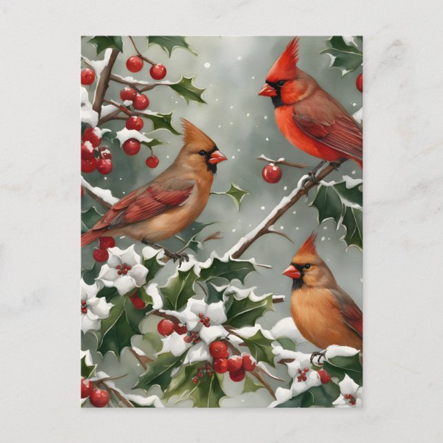 Cartão Postal De Festividades Cardinals and Holly Holiday Postcard (Frente)