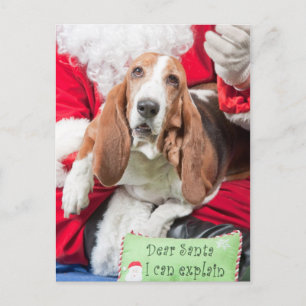 Cartão Postal De Festividades Caro papai noel eu posso explicar Basset Hound