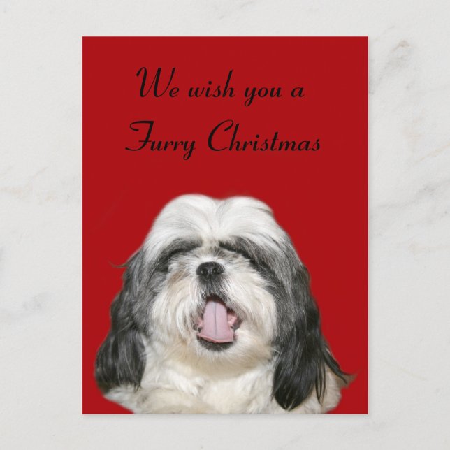 Cartão Postal De Festividades Caroling Christmas Shih Tzu (Frente)