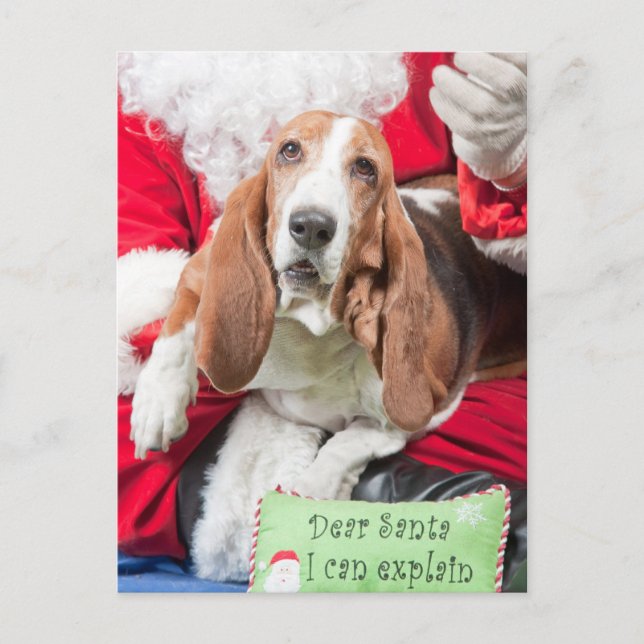 Cartão Postal De Festividades Caros Papais noeis, posso explicar o Hound Basset (Frente)