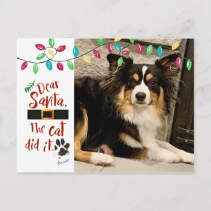 Cartão Postal De Festividades Carta engraçada do Papai Noel da Naughty Dog Foto