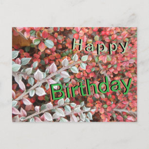 Cartão Postal De Festividades Cartão de Aniversário Personalizado Folhas Vermelh
