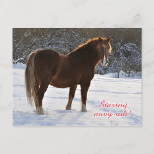 Cartão Postal De Festividades Cartão de Ano Novo Tcheco de cavalo