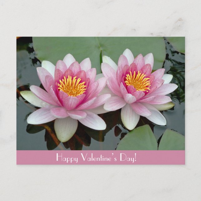 Cartão Postal De Festividades Cartão de Dia do Lotus Valentive Flutuante Rosa (Frente)