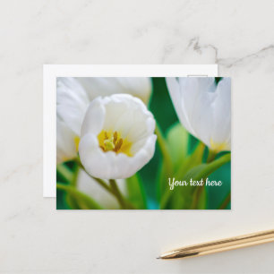 Cartão Postal De Festividades Cartão de felicitações Tulipa Branca