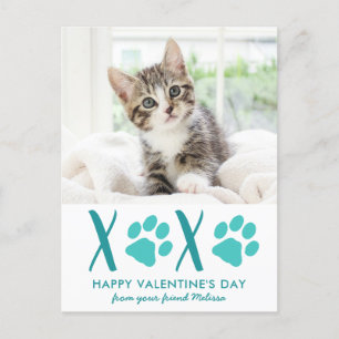 Cartão Postal De Festividades Cartão de Férias XOXO para Namorados Pet de Gato B