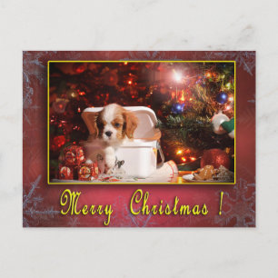 Cartão Postal De Festividades Cartão de Natal Cavalier