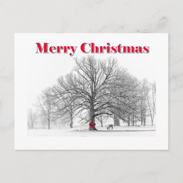 Cartão Postal De Festividades Cartão de Natal da Cena de Inverno (Cartão Postal) (Frente)
