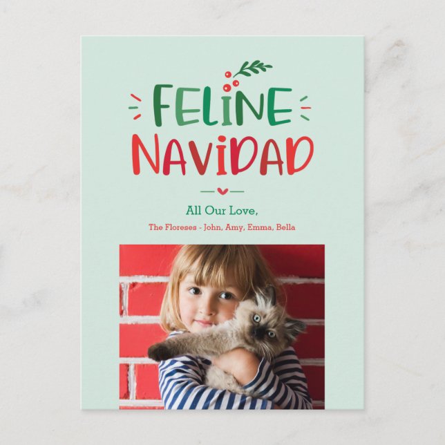 Cartão Postal De Festividades Cartão de Natal de animal de estimação Feline Navi (Frente)
