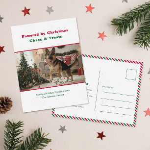 Cartão Postal De Festividades Cartão de Natal de Cachorro Engraçado Humorístico