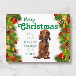 Cartão Postal De Festividades Cartão de Natal de Dachshund