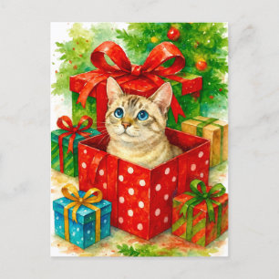 Cartão Postal De Festividades Cartão de Natal de Gato Surpresa Aconchegante
