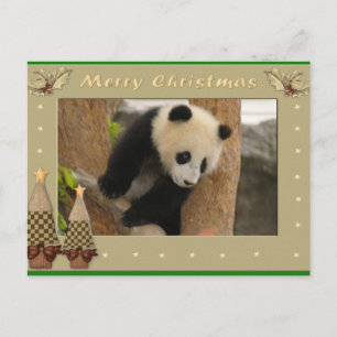 Cartão Postal De Festividades Cartão de Natal de Panda Bebê e Bebê