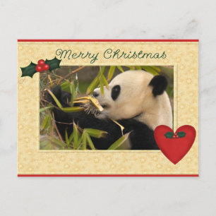 Cartão Postal De Festividades Cartão de Natal de Panda Bebê e Bebê