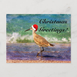 Cartão Postal De Festividades Cartão de Natal de Pássaro com Chapéu de Papai Noe