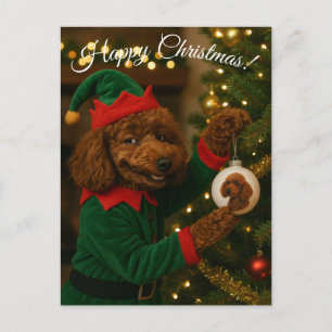 Cartão Postal De Festividades Cartão de Natal de Poodle