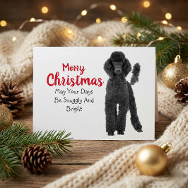 Cartão Postal De Festividades Cartão de Natal de Poodle Padrão