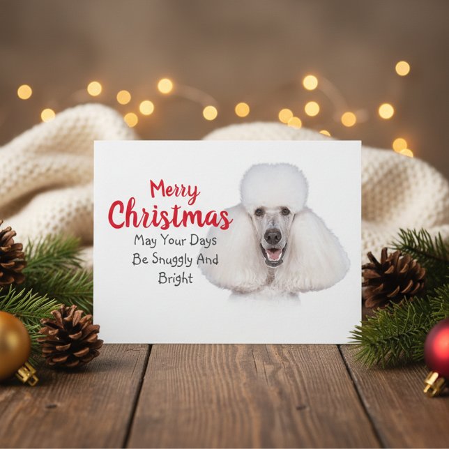 Cartão Postal De Festividades Cartão de Natal de Poodle Padrão Branco (White Standard Poodle Christmas Card)