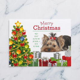 Cartão Postal De Festividades Cartão de Natal de Yorkshire Terrier