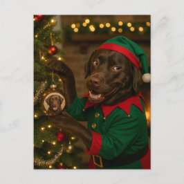 Cartão Postal De Festividades Cartão de Natal do cão Labrador de Chocolate