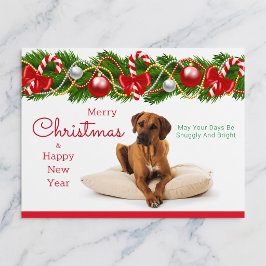 Cartão Postal De Festividades Cartão de Natal do Rhodesian Ridgeback