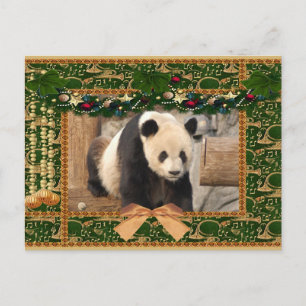 Cartão Postal De Festividades Cartão de Natal do urso de panda gigante & da