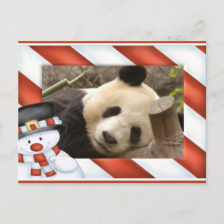 Cartão Postal De Festividades Cartão de Natal do urso de panda gigante & da