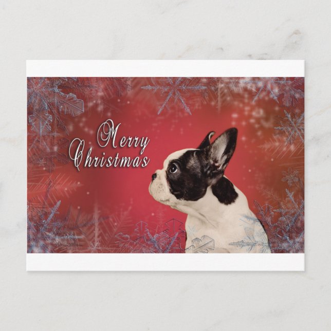 Cartão Postal De Festividades Cartão de Natal francês (Frente)