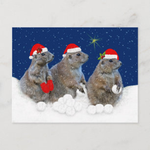 Cartão Postal De Festividades Cartão de Natal Let it Snow
