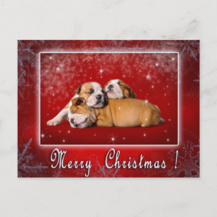 Cartão Postal De Festividades Cartão de Natal para Buldogue Inglês