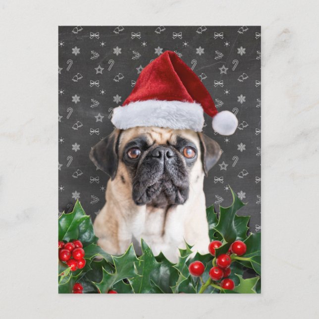 Cartão Postal De Festividades Cartão de Natal Pug (Frente)