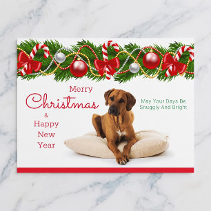 Cartão Postal De Festividades Cartão de Natal Ridgeback da Rodésia