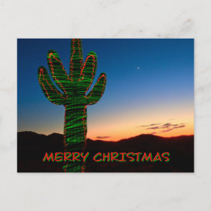 Cartão Postal De Festividades Cartão de Natal Saguaro Cactus Feriado