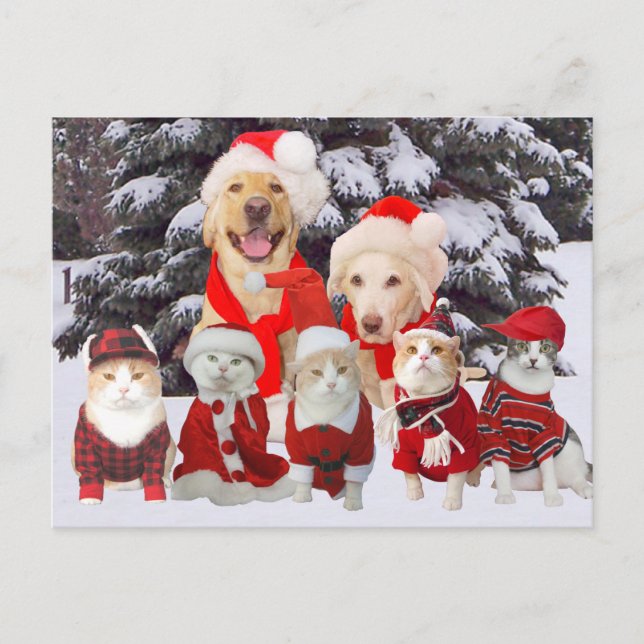 Cartão Postal De Festividades Cartão de Posto de Natal Pet Engraçado Personalizá (Frente)