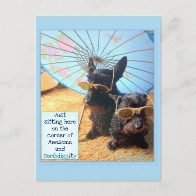 Cartão Postal De Festividades Cartão de Posto Incrível e Bombescente (Frente)