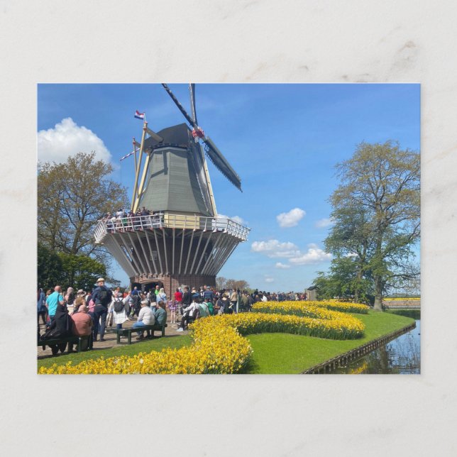 Cartão Postal De Festividades Cartão de Posto Windmill de Amsterdã (Frente)