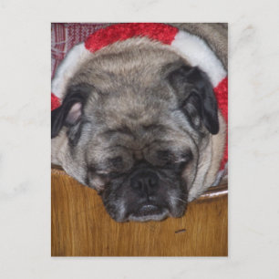 Cartão Postal De Festividades Cartão do Natal de um cão do Pug
